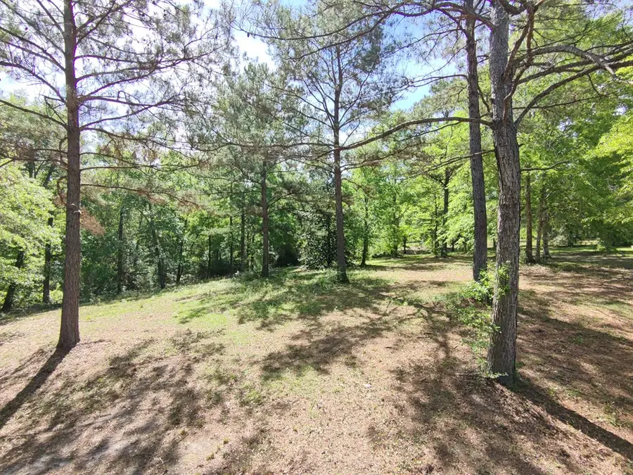 0 St. Germaine, Carriere, MS 39426 - #3