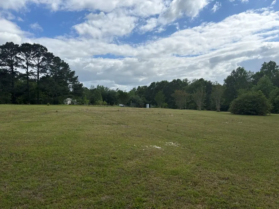 0 Rebel Hill Drive, Carriere, MS 39466 - #3