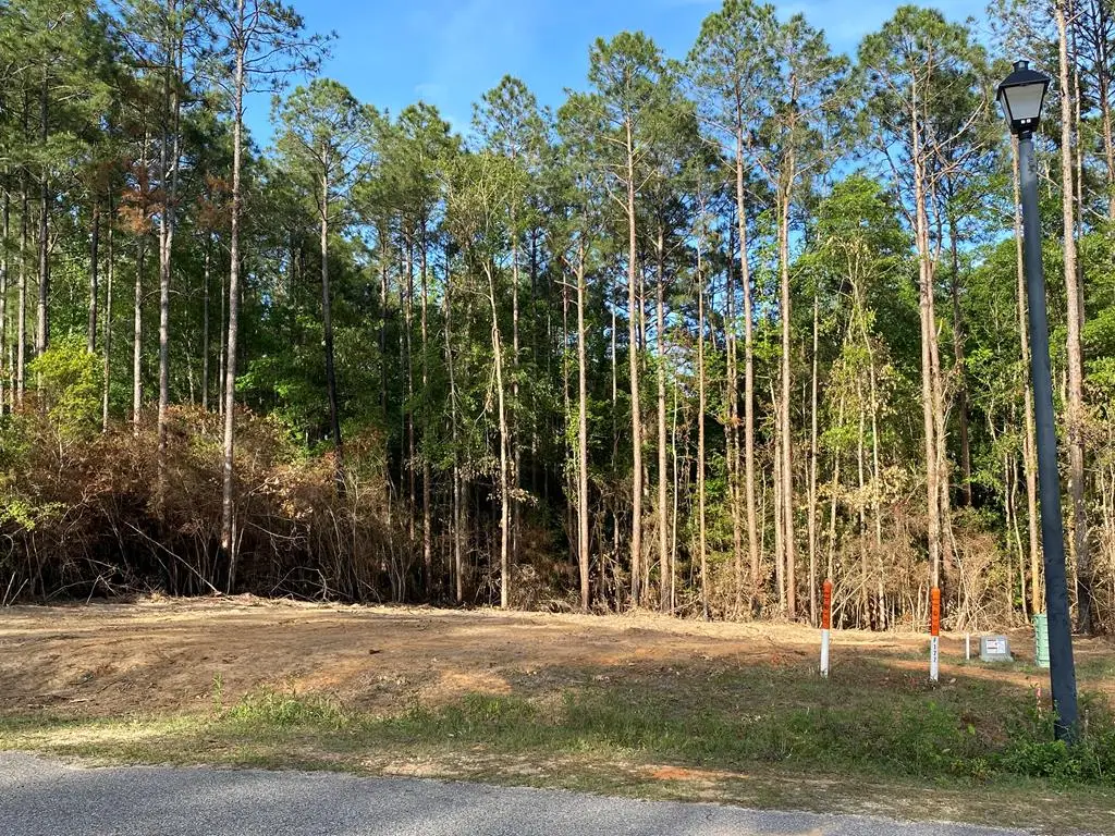 00 Lot 177 & 178 Sweet Birch Drive, Carriere, MS 39426 - #1