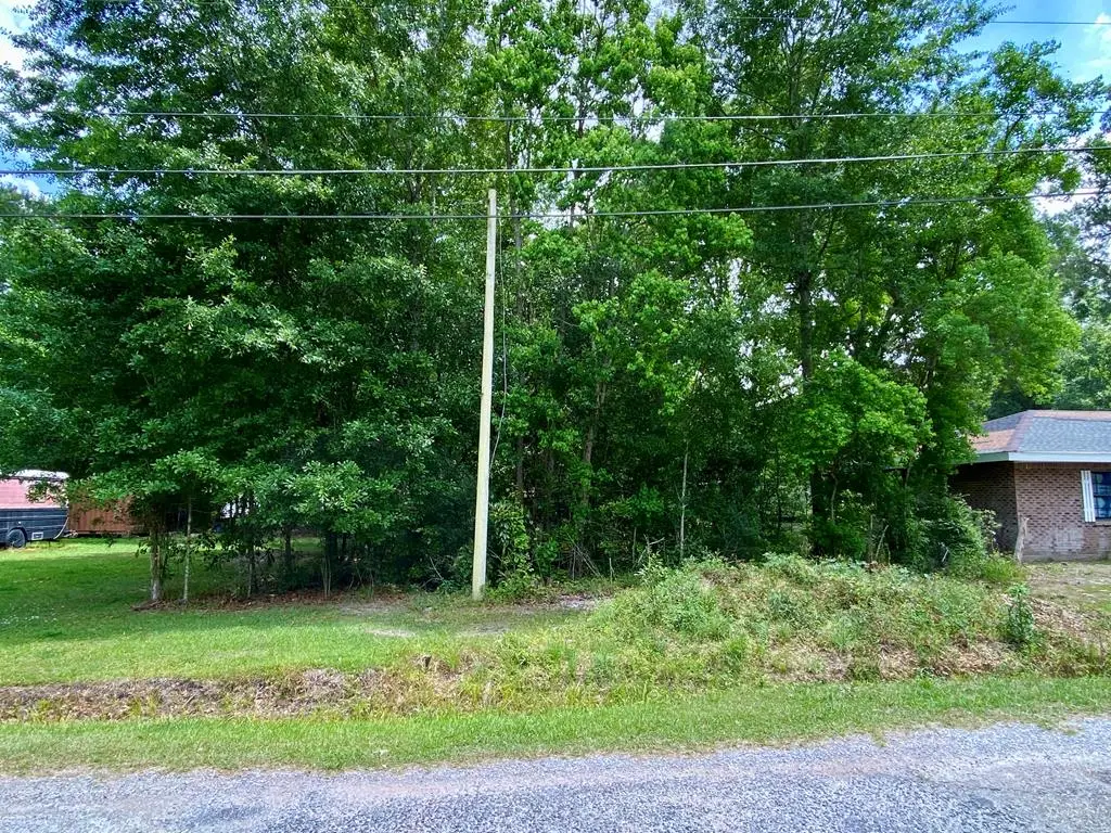 104 Tulip Drive, Nicholson, MS 39466 - #1