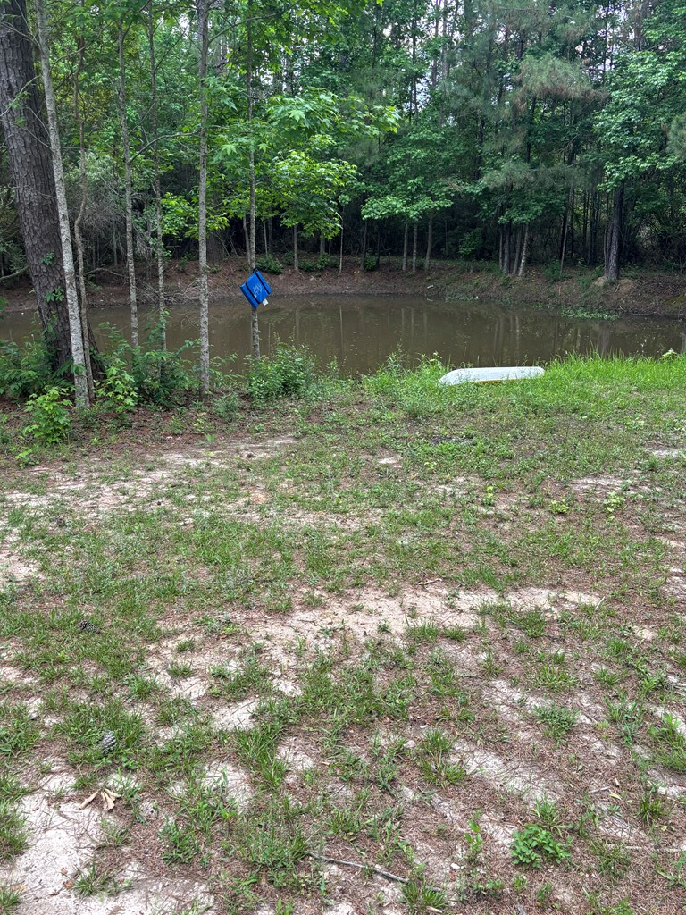 43 Alan Road, Carriere, MS 39426 - #2