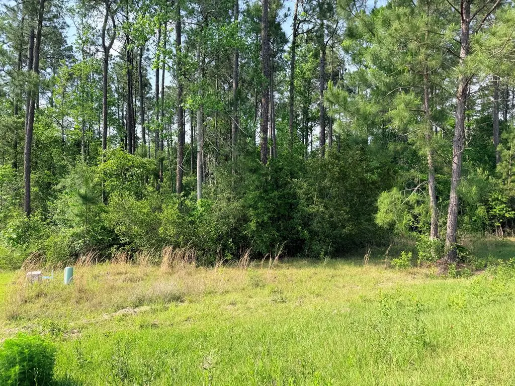 NHN Moss Circle, Carriere, MS 39426 - #1