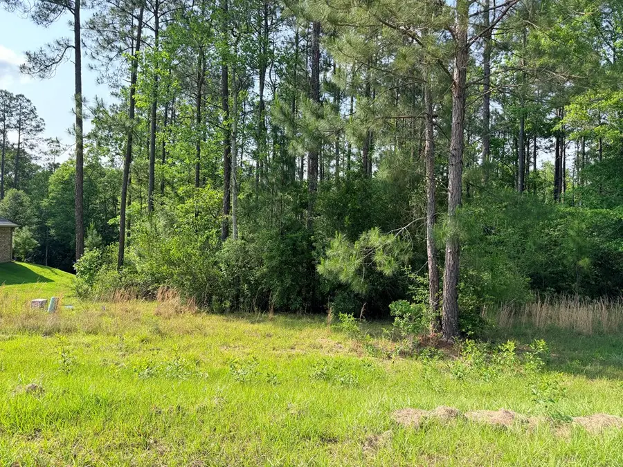 NHN Moss Circle, Carriere, MS 39426 - #2