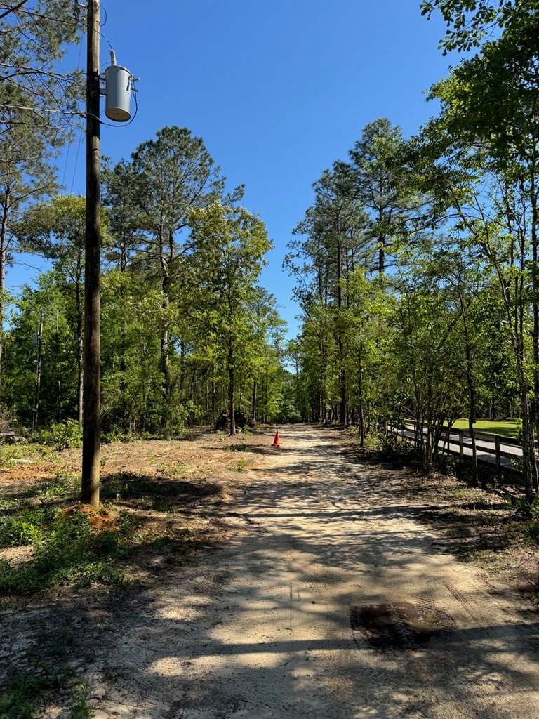 619 Lakeside Dr., Carriere, MS 39426 - #2