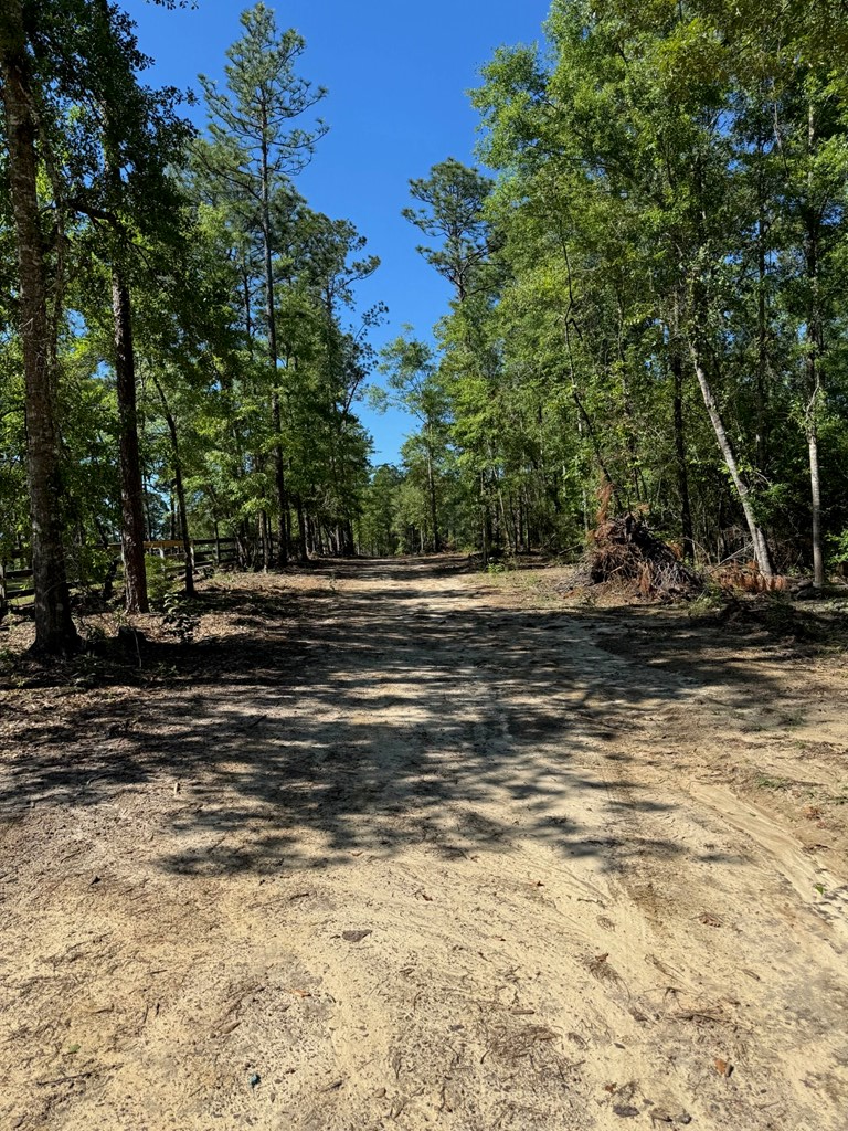 619 Lakeside Dr., Carriere, MS 39426 - #3