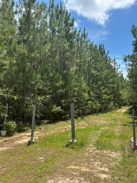 0 Bell Tower Parkway, Carriere, MS 39416 - #2