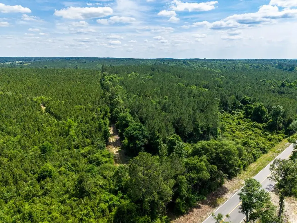 NHN Hwy 43, Poplarville, MS 39470 - #1