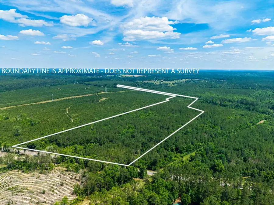 NHN Hwy 43, Poplarville, MS 39470 - #2
