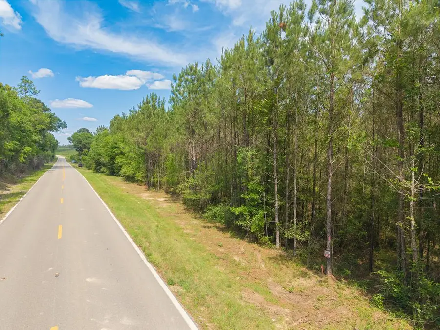NHN Hwy 43, Poplarville, MS 39470 - #3