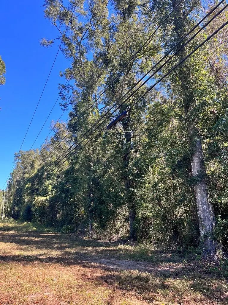 NHN Ceasar, Picayune, MS 39466 - #2