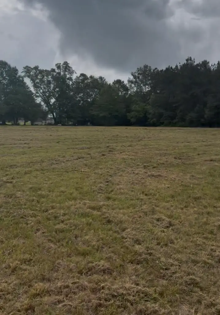 0 Ceaser, Picayune, MS 39466 - #1