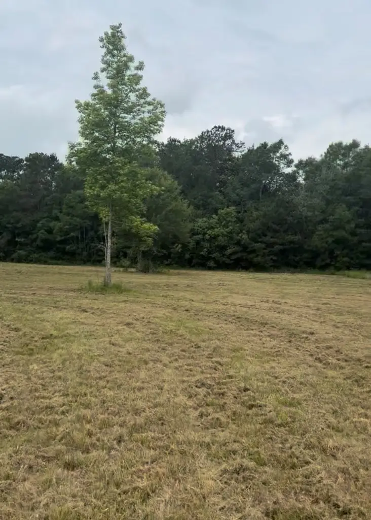 0 Ceaser, Picayune, MS 39466 - #2