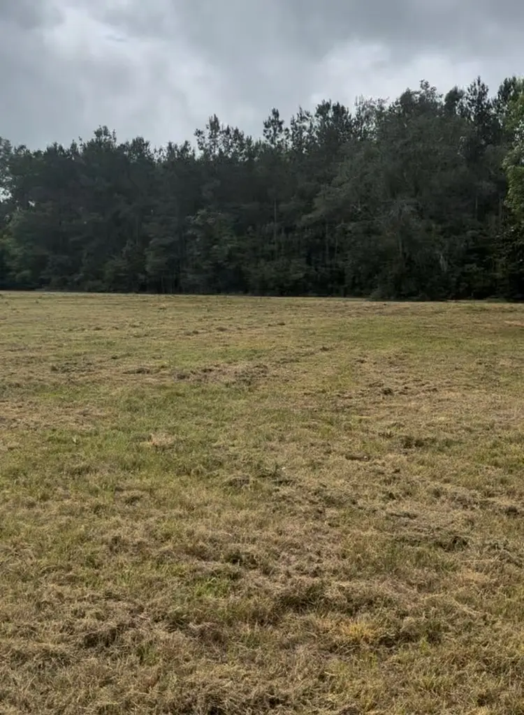 0 Ceaser, Picayune, MS 39466 - #3