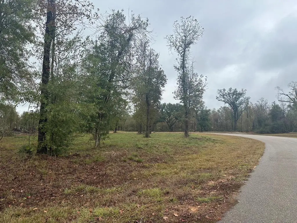 NHN Bent Creek, lot 9, Picayune, MS 39466 - #1