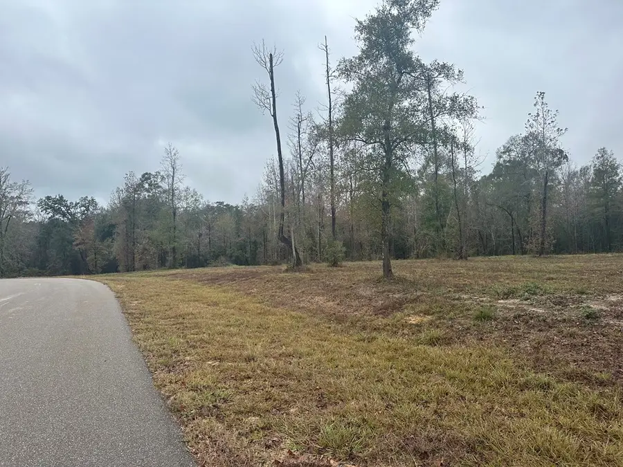 NHN Bent Creek, lot 9, Picayune, MS 39466 - #2