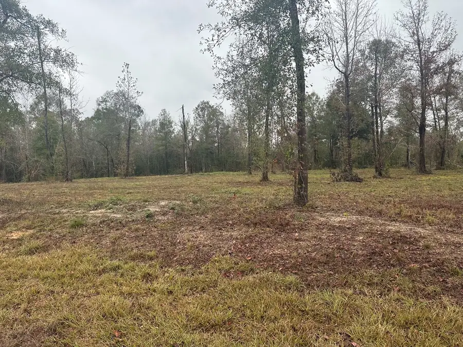 NHN Bent Creek, lot 9, Picayune, MS 39466 - #3