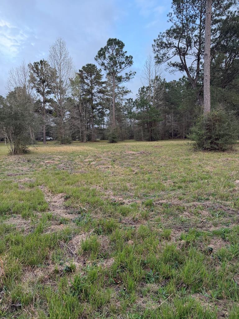 19 George Wise Road, Carriere, MS 39466 - #1