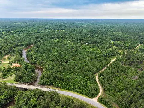 14+/- AC McNeill McHenry Road, Poplarville, MS 39470 - #1