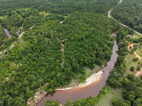 14+/- AC McNeill McHenry Road, Poplarville, MS 39470 - #2