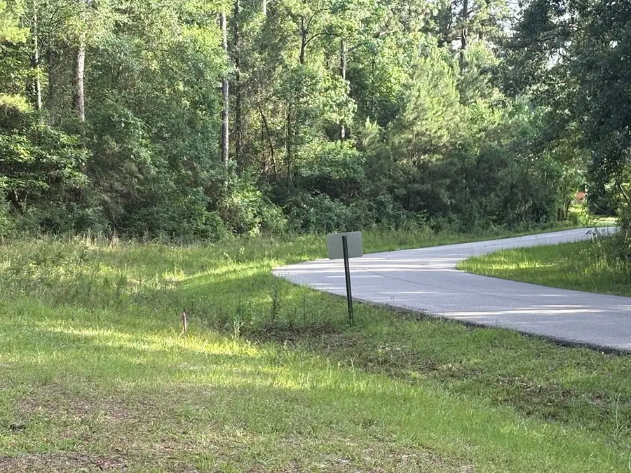 249 Timberlane Drive, Picayune, MS 39466 - #3