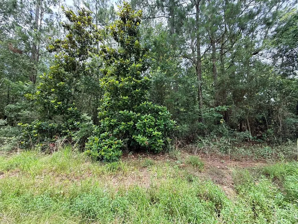 0 5th St, Bay Saint Louis, MS 39520 - #1