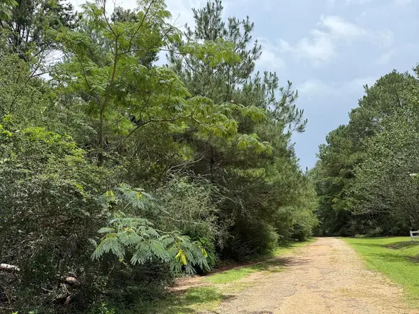 NHN Misty Lane, Lumberton, MS 39455