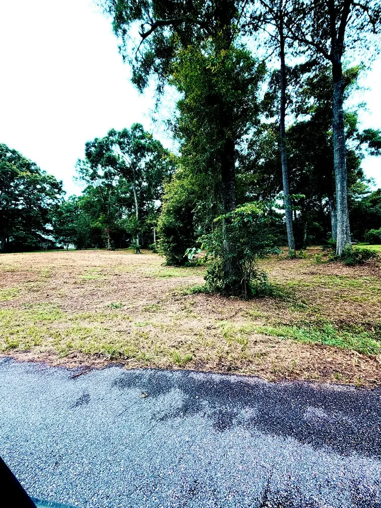 114 N Highland Drive, Poplarville, MS 39470 - #3