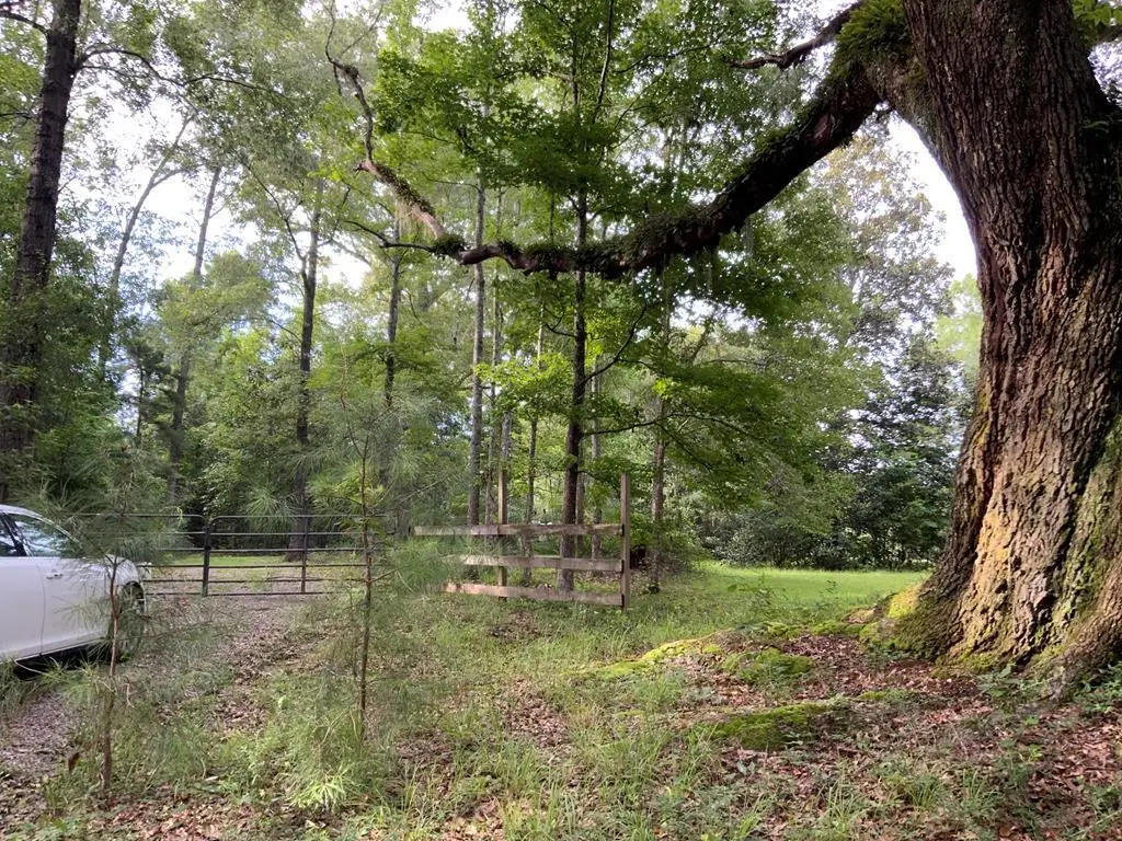 -00 Curlie Seal Rd, Picayune, MS 39466 - #1
