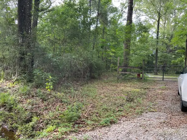 -00 Curlie Seal Rd, Picayune, MS 39466