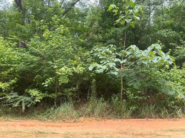 0 Alma Street, Lumberton, MS 39455 - #1