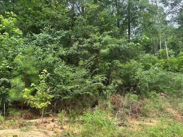 0 Alma Street, Lumberton, MS 39455 - #2