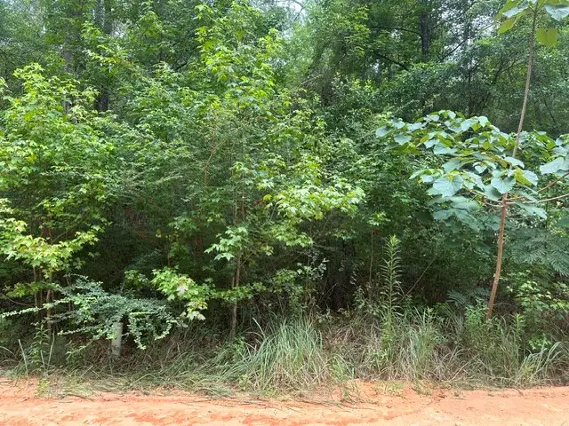 0 Alma Street, Lumberton, MS 39455 - #3