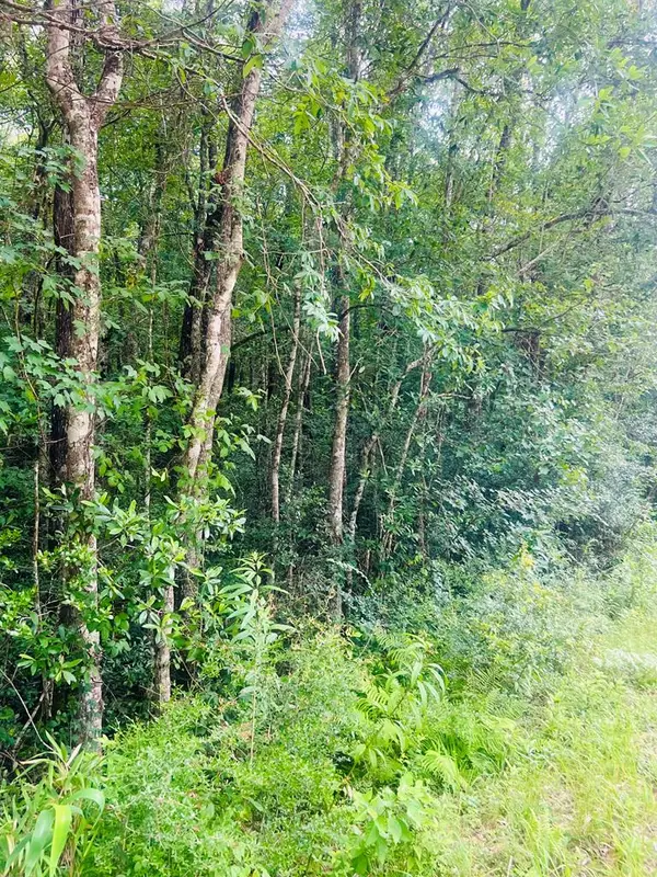 127 Tamchelle Rd., Lumberton, MS 39455