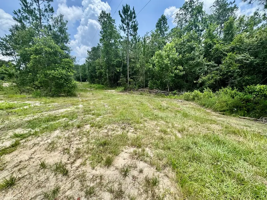 27255 W Bull Creek Drive, Perkinston, MS 39573 - #3