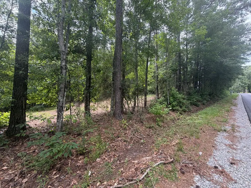 NHN Soners Chapel Road, Carriere, MS 39426 - #1