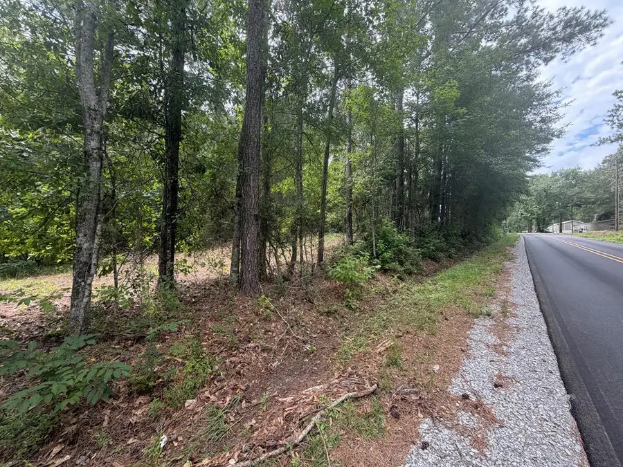 NHN Soners Chapel Road, Carriere, MS 39426 - #3