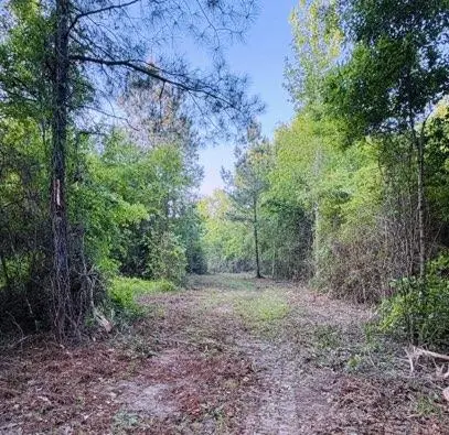 0 Darron Hodge Ln, Poplarville, MS 39470 - #1
