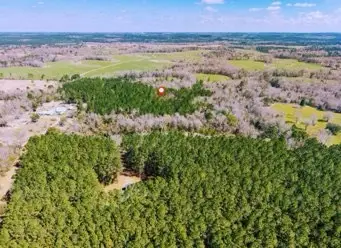 0 Darron Hodge Ln, Poplarville, MS 39470 - #3