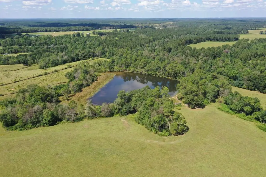 7330 Hwy 53, Poplarville, MS 39470 - #1