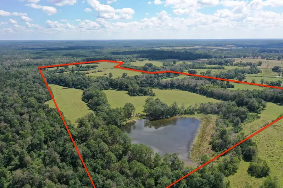 7330 Hwy 53, Poplarville, MS 39470 - #2