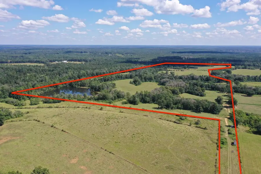7330 Hwy 53, Poplarville, MS 39470 - #3