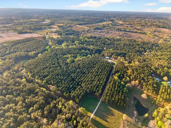0 Gravel Pit Rd, Sandy Hook, MS 39478