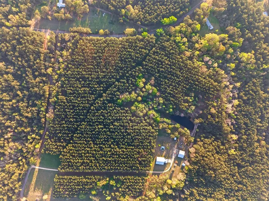 0 Gravel Pit Rd, Sandy Hook, MS 39478 - #2