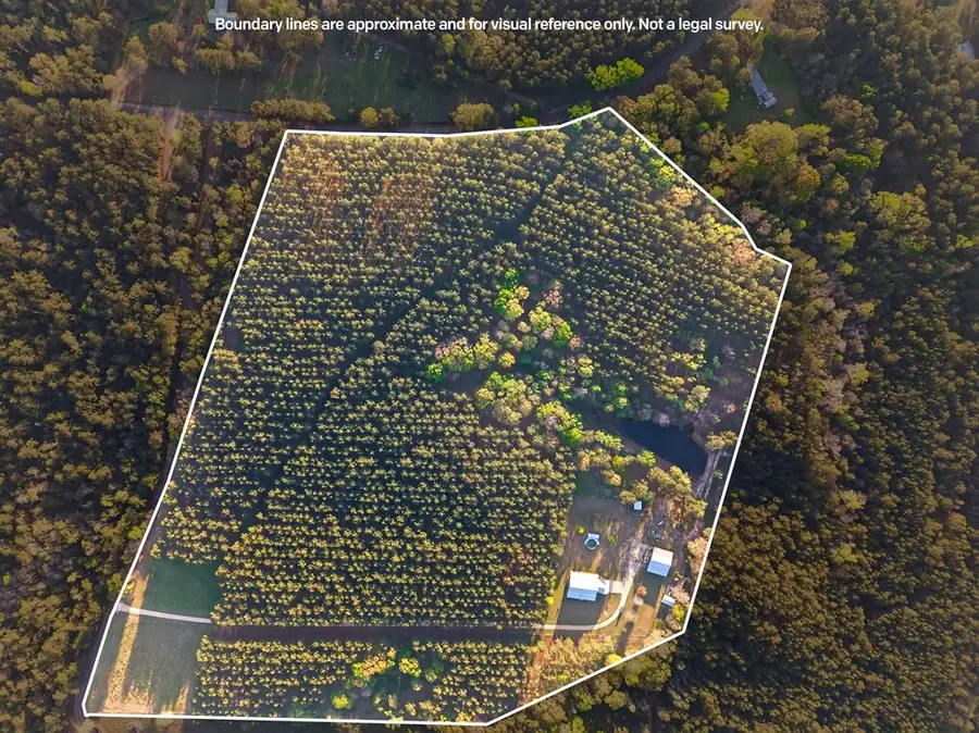 0 Gravel Pit Rd, Sandy Hook, MS 39478 - #3