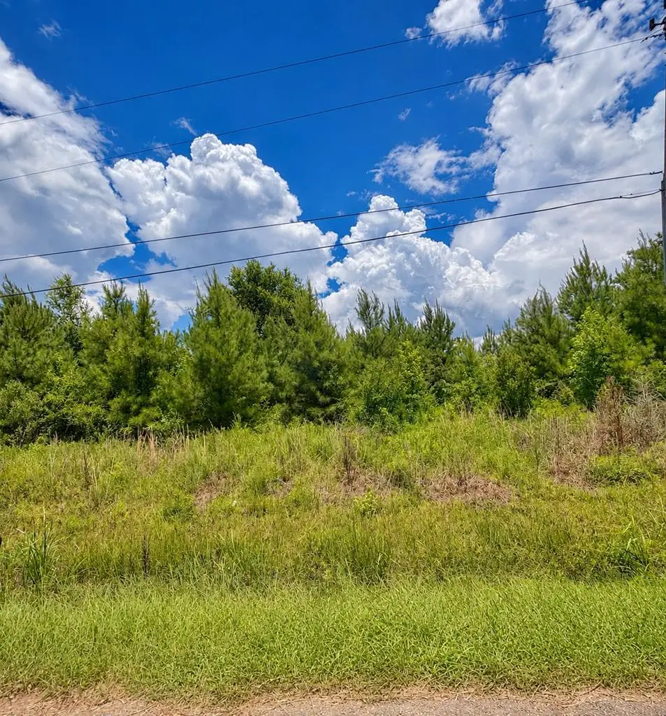 NHN Morgan Seal Rd, Picayune, MS 39466 - #1