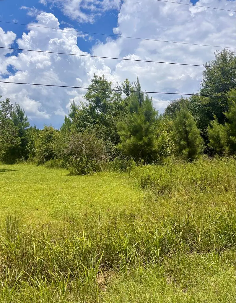 NHN Morgan Seal Rd, Picayune, MS 39466 - #2