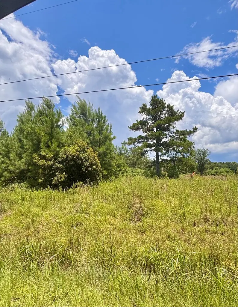NHN Morgan Seal Rd, Picayune, MS 39466 - #3