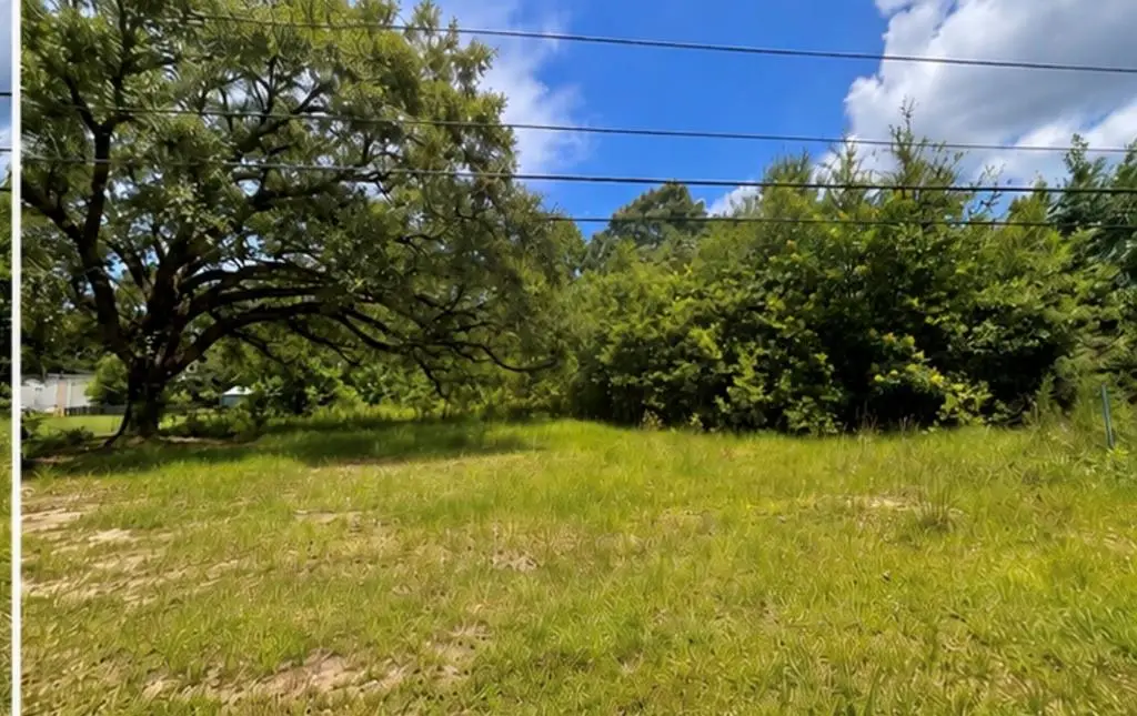 NHN Luther Davis Rd, Picayune, MS 39466 - #1
