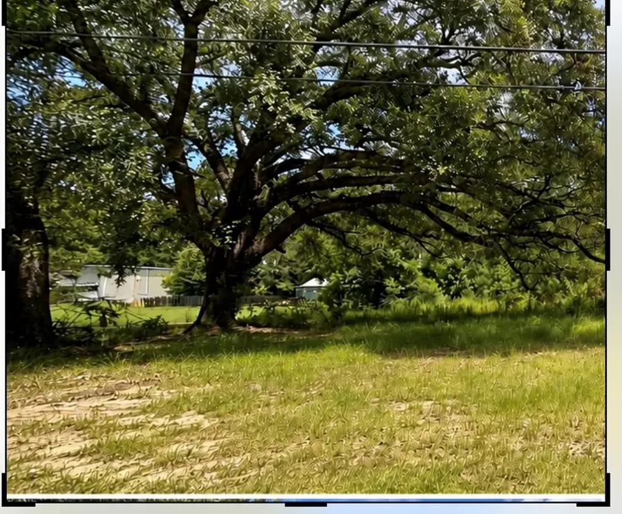 NHN Luther Davis Rd, Picayune, MS 39466 - #3