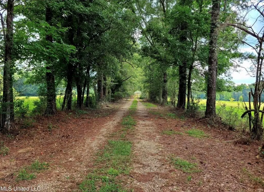 809 Osborn Moody, Poplarville, MS 39470 - #1